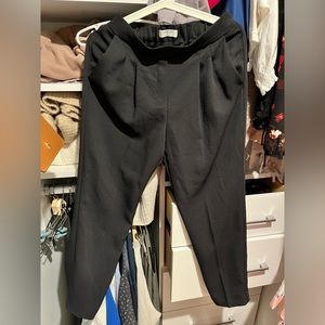 Babaton (Aritzia) Cohen pants size 2